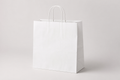 White Paper Bags with Twisted Handle (50pcs)