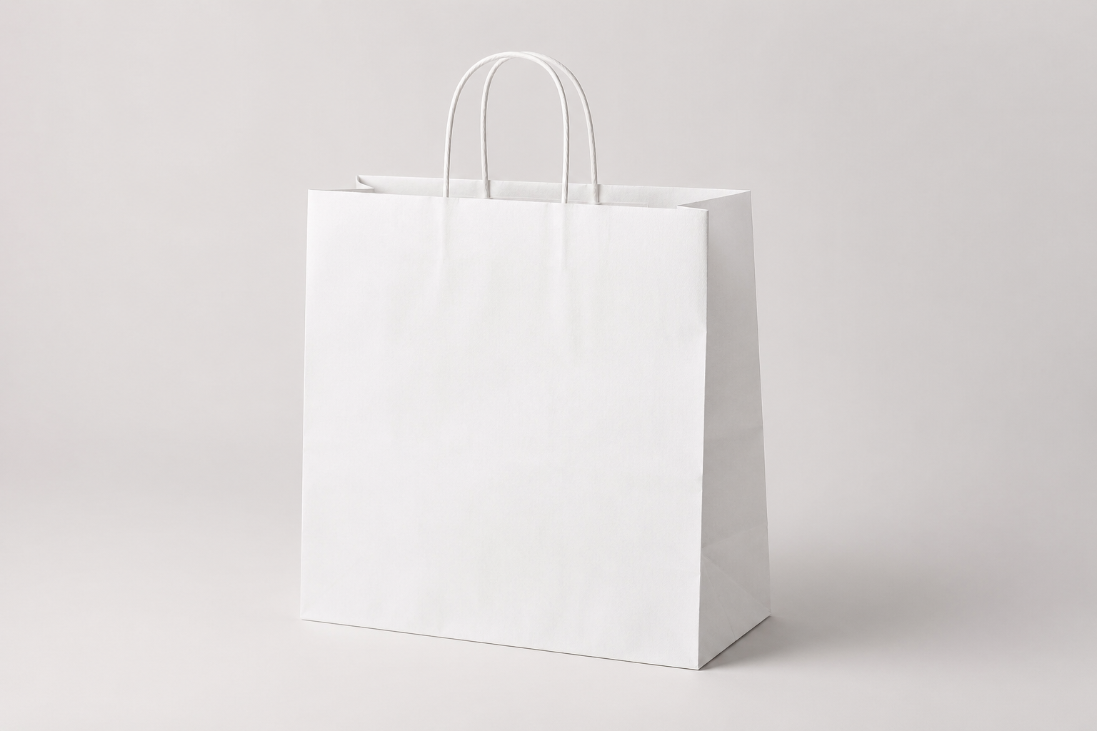 White Paper Bags with Twisted Handle (50pcs)